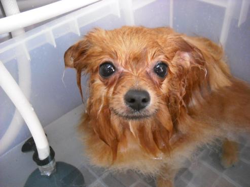 ファイル 1702-2.jpg