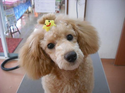 ファイル 1704-1.jpg