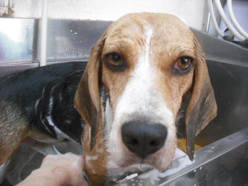 ファイル 1707-2.jpg