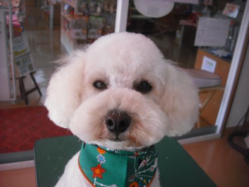 ファイル 1709-1.jpg