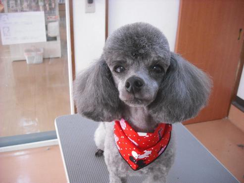 ファイル 171-1.jpg