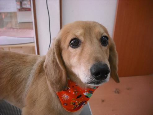 ファイル 1710-1.jpg