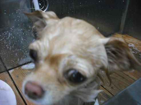 ファイル 1711-2.jpg