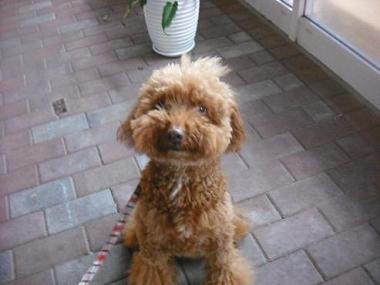 ファイル 1713-2.jpg