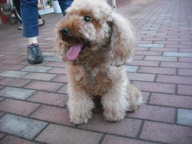 ファイル 1714-2.jpg