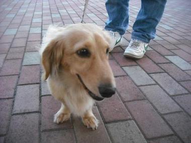 ファイル 1716-2.jpg