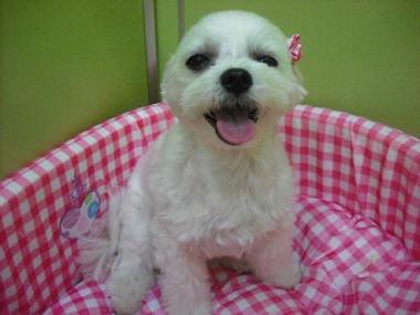 ファイル 1717-1.jpg