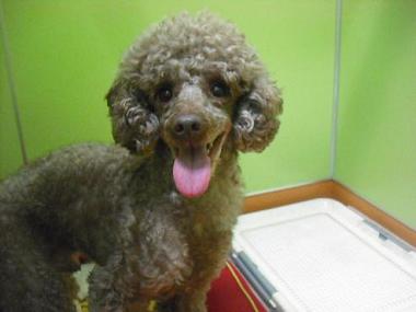 ファイル 1718-1.jpg