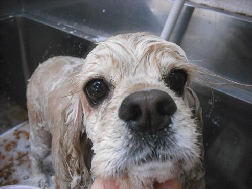 ファイル 172-2.jpg