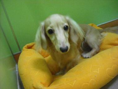 ファイル 1720-1.jpg