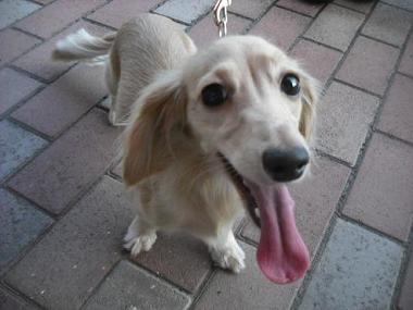 ファイル 1720-2.jpg