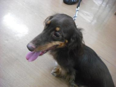 ファイル 1721-2.jpg