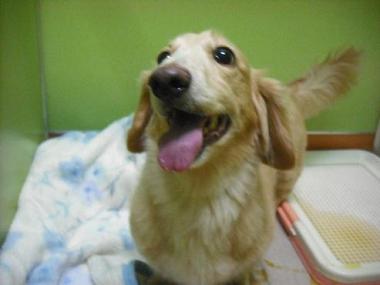 ファイル 1722-2.jpg