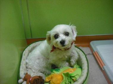 ファイル 1723-1.jpg