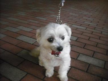 ファイル 1723-2.jpg