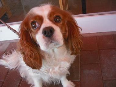 ファイル 1724-2.jpg