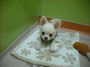 ファイル 1725-1.jpg