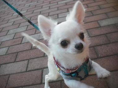 ファイル 1725-2.jpg