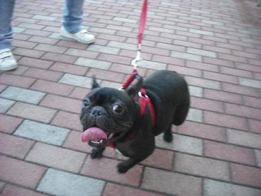 ファイル 1727-2.jpg