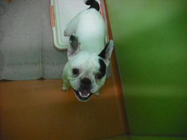 ファイル 1729-2.jpg