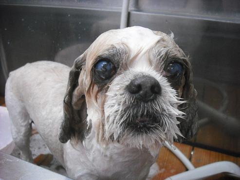 ファイル 173-2.jpg