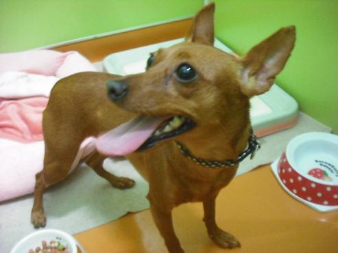 ファイル 1730-1.jpg