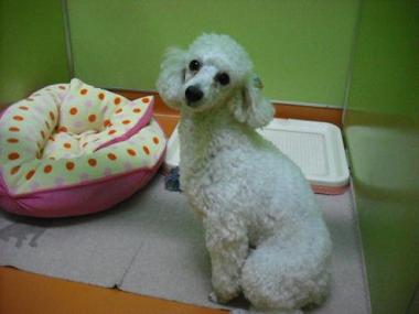 ファイル 1731-2.jpg