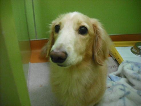 ファイル 1736-2.jpg