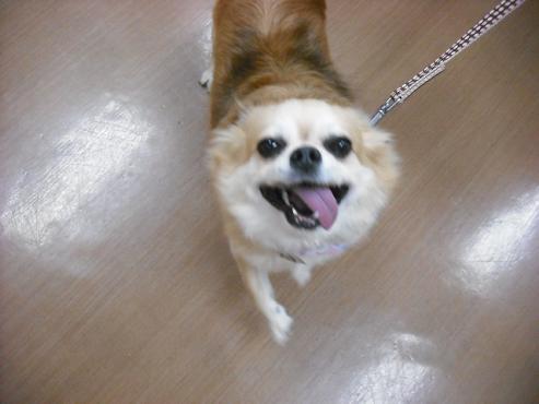 ファイル 1738-2.jpg