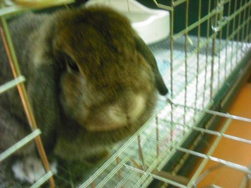 ファイル 1739-2.jpg