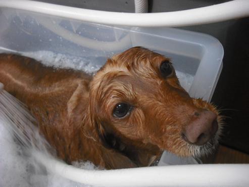 ファイル 174-2.jpg