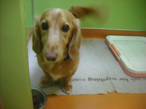 ファイル 1740-1.jpg