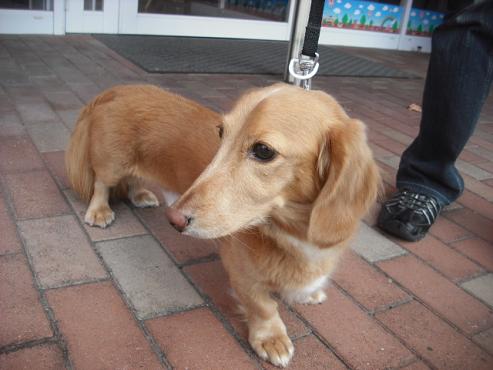 ファイル 1740-2.jpg