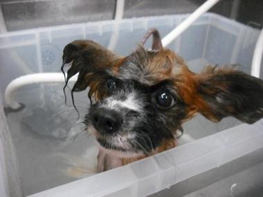 ファイル 1741-2.jpg