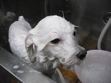 ファイル 1742-2.jpg