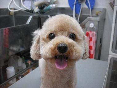 ファイル 1743-1.jpg