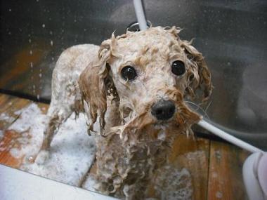 ファイル 1743-2.jpg