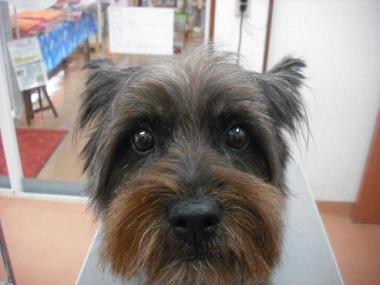 ファイル 1744-1.jpg