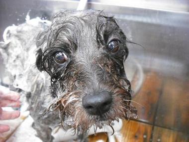 ファイル 1744-2.jpg