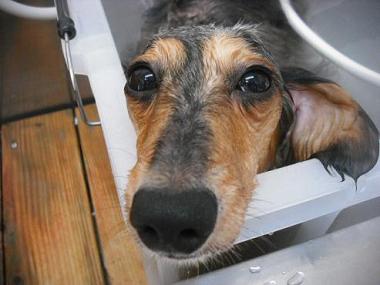 ファイル 1745-2.jpg