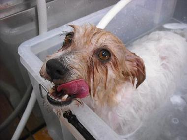 ファイル 1746-2.jpg