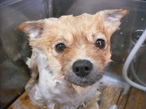 ファイル 1749-2.jpg