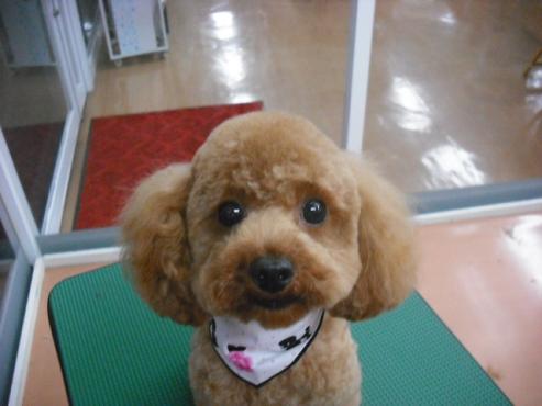 ファイル 175-1.jpg