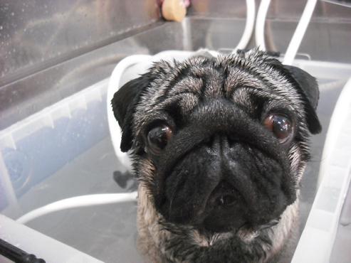 ファイル 1750-2.jpg