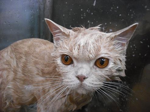 ファイル 1751-2.jpg