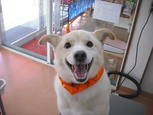 ファイル 1752-1.jpg