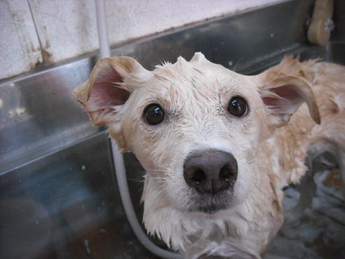 ファイル 1752-2.jpg