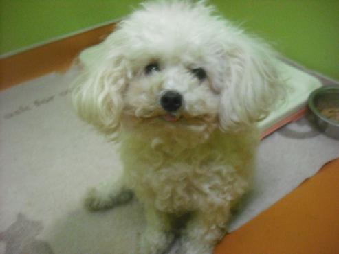 ファイル 1754-2.jpg