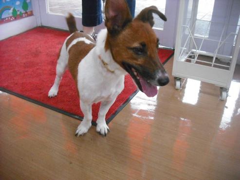 ファイル 1755-2.jpg