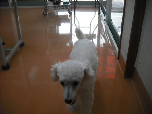 ファイル 1758-2.jpg